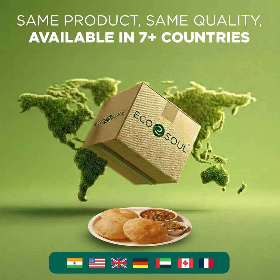 ECO SOUL | Palm Leaf Disposable Plates | 12 Inch | Round | 10 Count