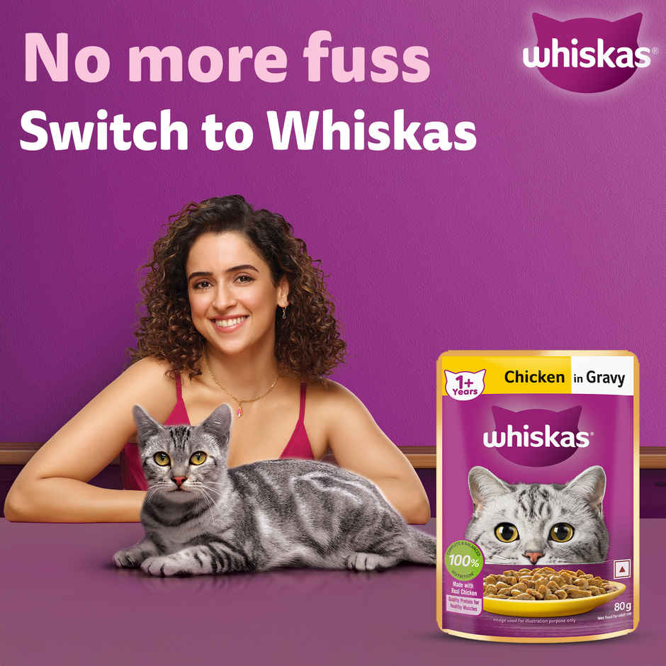 Whiskas Adult Chicken in Gravy Wet Cat Food Combo