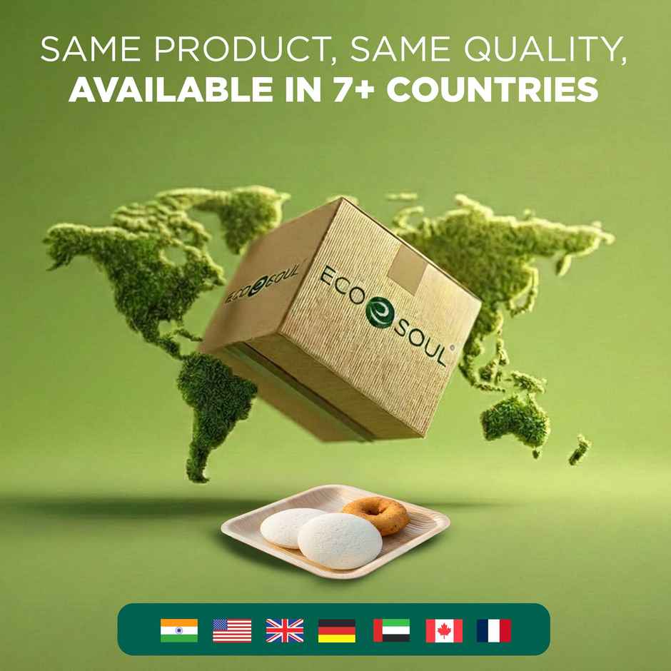 ECO SOUL | Palm Leaf Disposable Plates | 8 Inch | Square | 10 Count