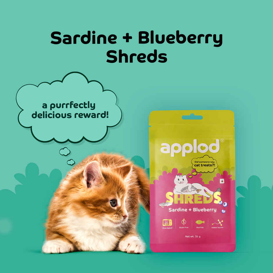 Applod Fish & Blueberry Crunchy Cat Treat | For Kitten & Adult Cats