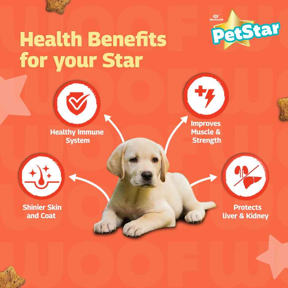 Petstar Puppy Dry Dog FOOD| Chicken Flavour - Power Of 20+ Ingredients