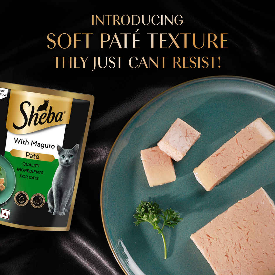 Sheba Pate Adult Wet Cat Food | Maguro