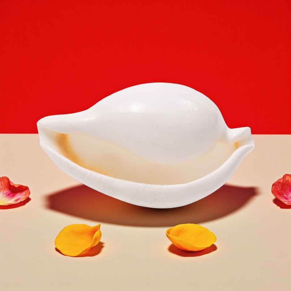 Budh Shankh | Attracts Prosperity & Success | No Carving | Pujashree