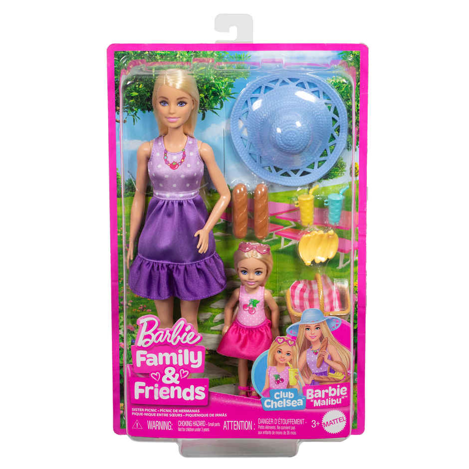 Barbie Family & Friends Picnic | Doll Playset