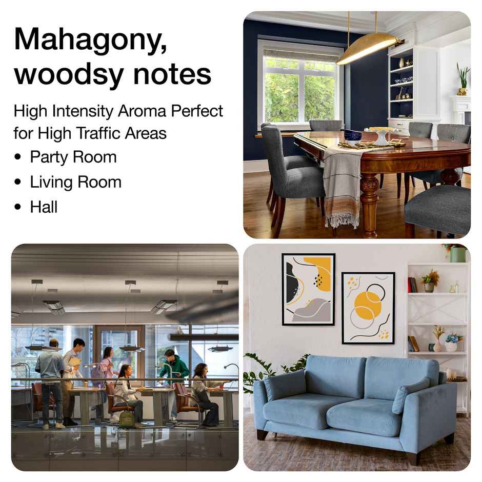 Soulflower Premium Reed Diffuser Walk in the Wood - Woody Aroma