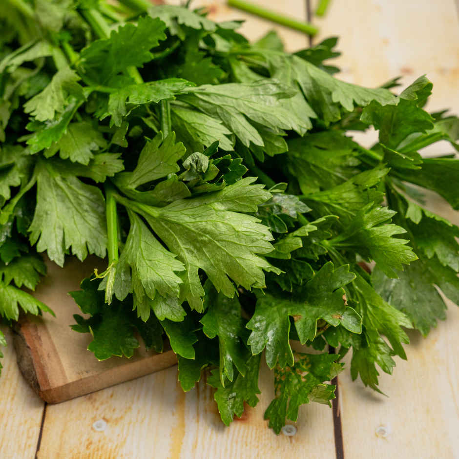 Celery