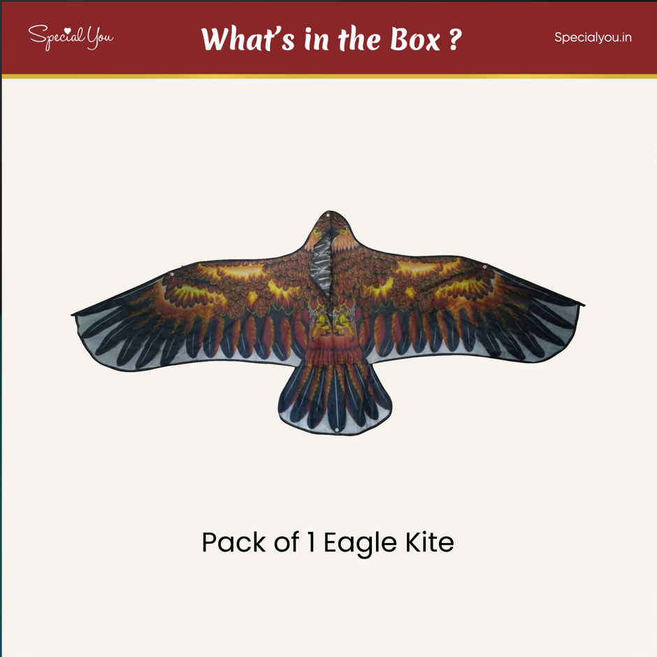 Premium Eagle Plastic Kite | Multicolour | Patang | Special You