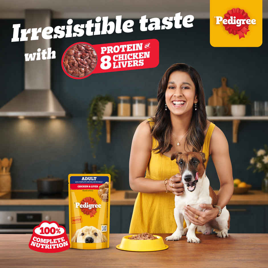 Pedigree Adult Chicken & Liver Chunks In Gravy Wet Dog Food