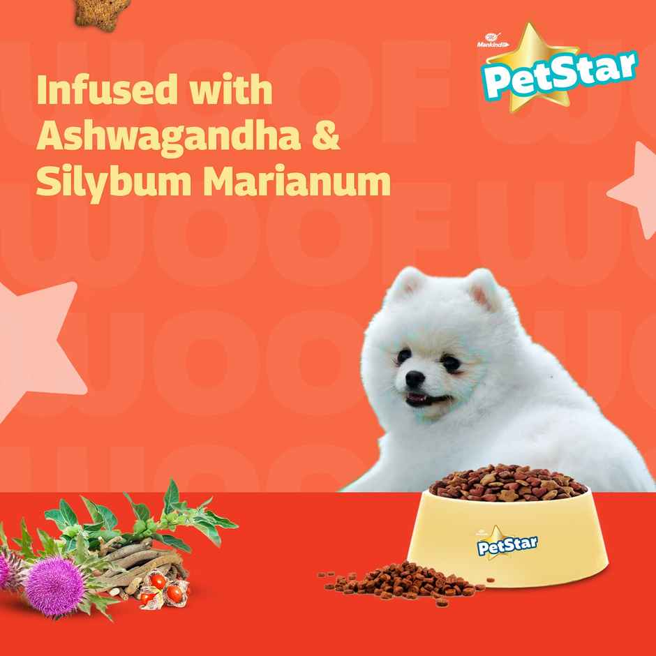 Petstar Puppy Dry Dog FOOD | Chicken Flavour - Power Of 20+ Ingredients