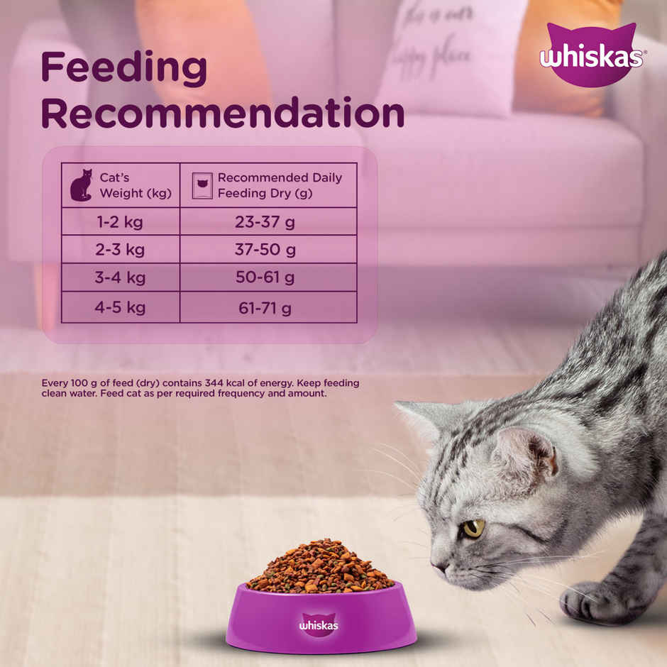 Whiskas Adult (+1 Year) Dry Cat Food Food, Tuna Flavour Pack