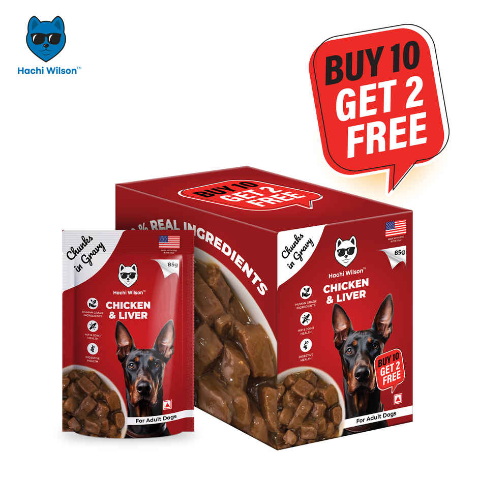 Hachi Wilson Premium Chicken & Liver chucks in gravy