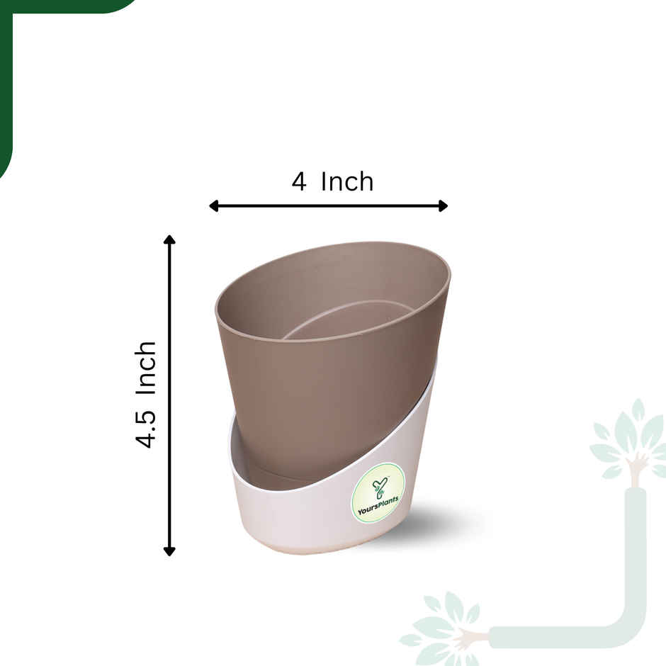 Yoursplants Atlantis - 4 Inch Mocca Pot | Pack Of 1