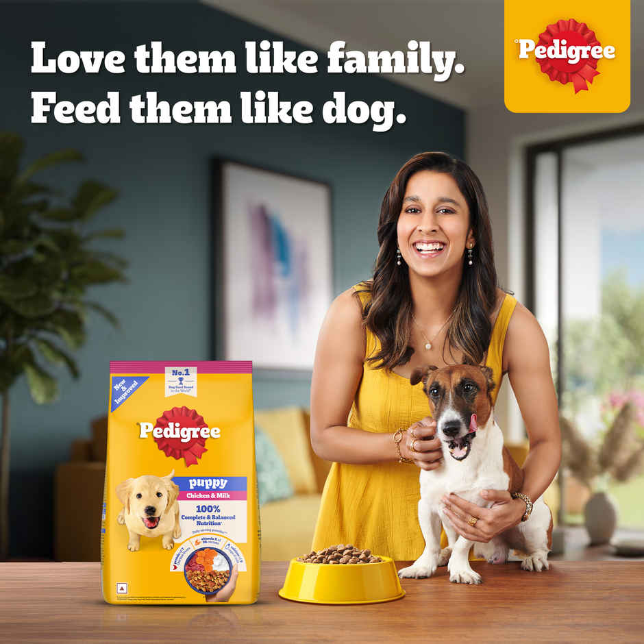 Pedigree Puppy Chicken & Milk Dry Dog Food