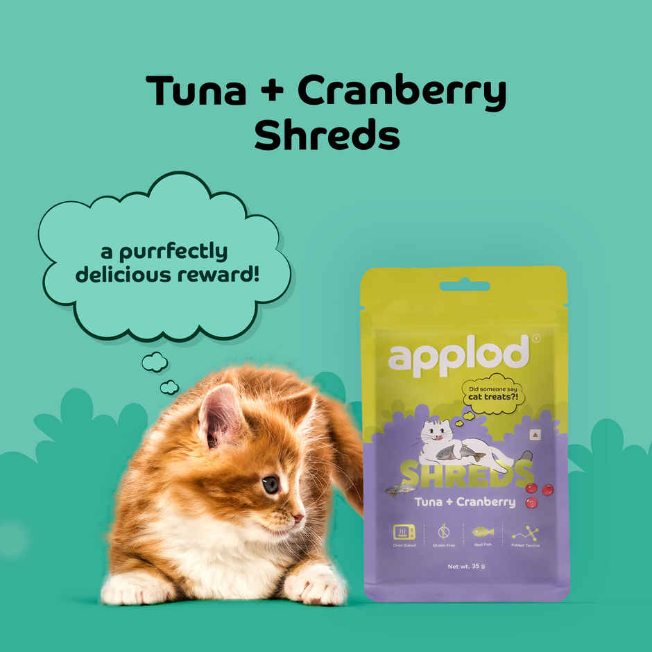 Applod Fish & Cranberry Crunchy Cat Treat |  For Kitten & Adult Cats