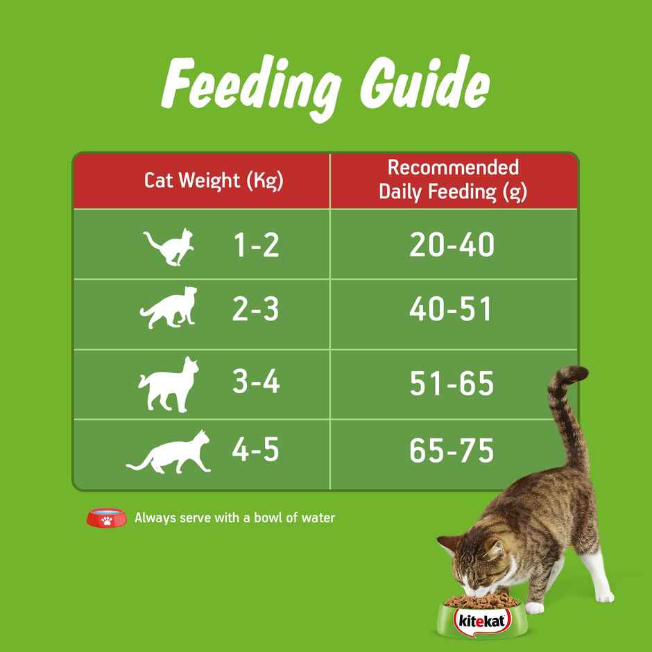 Kitekat Adult Dry Cat Food | Ocean Fish Flavour | 1+ Years