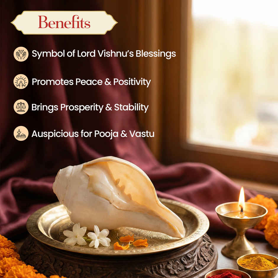 Blowing Shankh Big | Attracts Positive Energies | Cleanses Aura | Pujashree