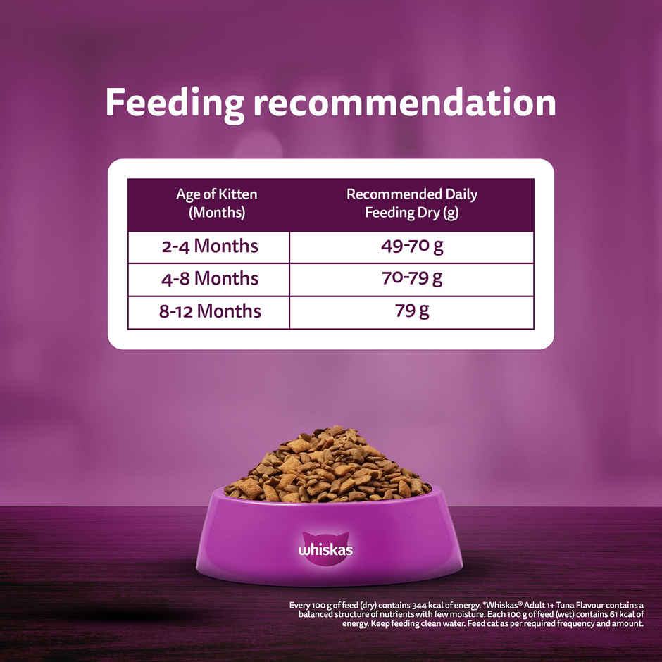 Whiskas Kitten Dry Cat Food | 2 to 12 Months | Ocean Fish