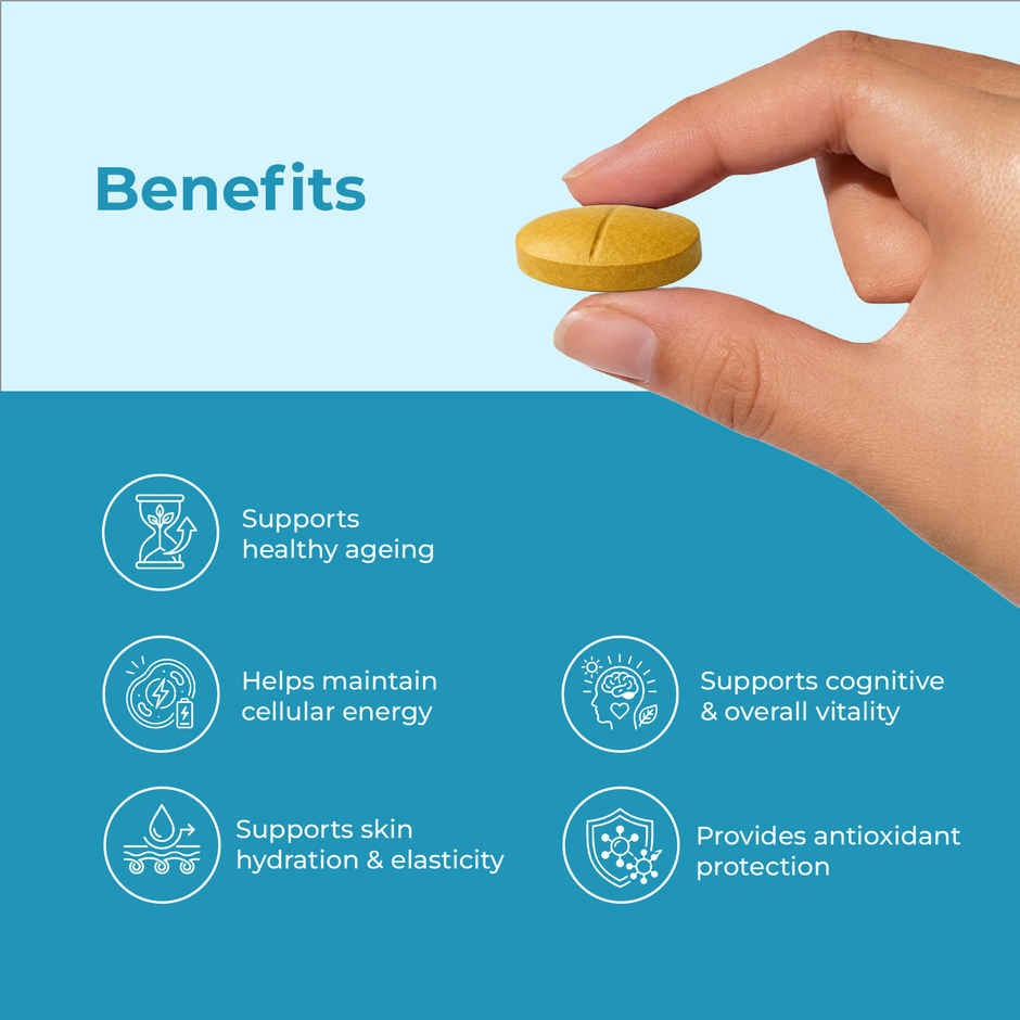 OYB Anti-Ageing Formula with CoQ10, Curcumin & Resveratrol | 30 Tablets | OYB Time-Machine