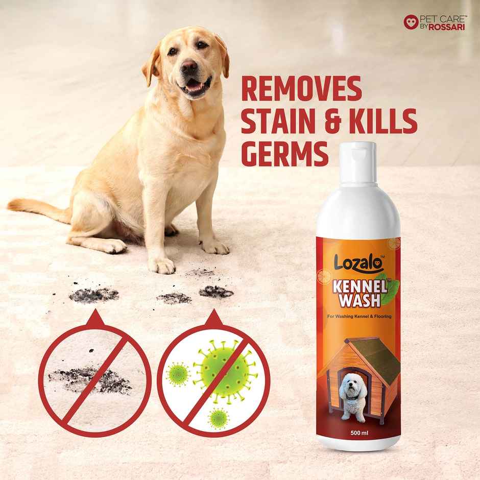 Lozalo Kennel Wash Liquid for Dog Kennel Flooring Pet Shops Clinics Salons Red