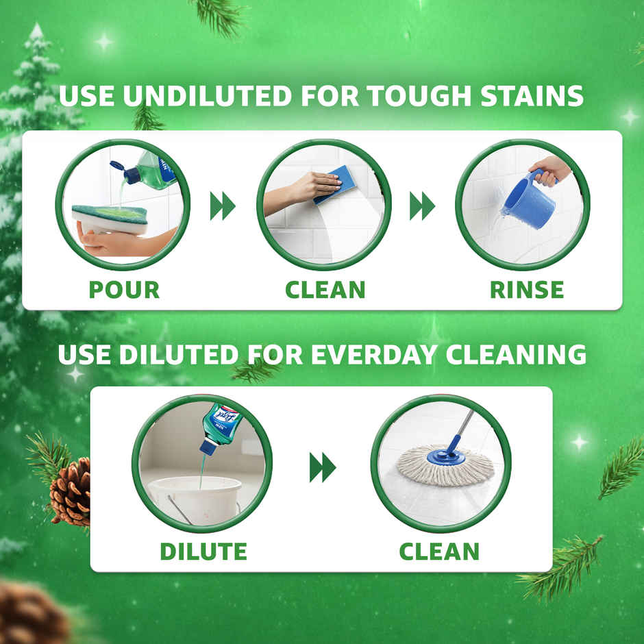 Lizol Bathroom Cleaner Liquid | Pine