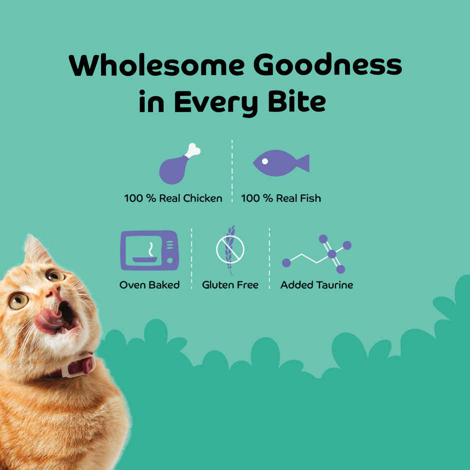 Applod Fish & Cranberry Crunchy Cat Treat |  For Kitten & Adult Cats