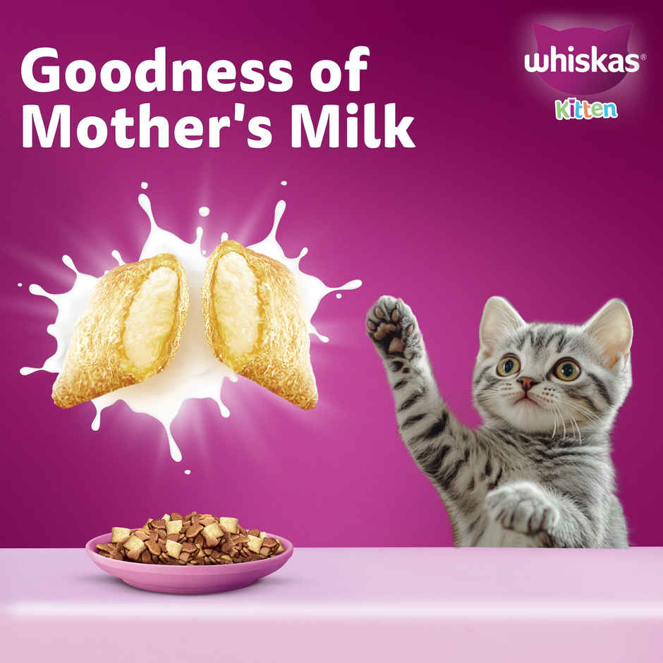 Whiskas Kitten Dry Cat Food | 2 to 12 Months | Ocean Fish