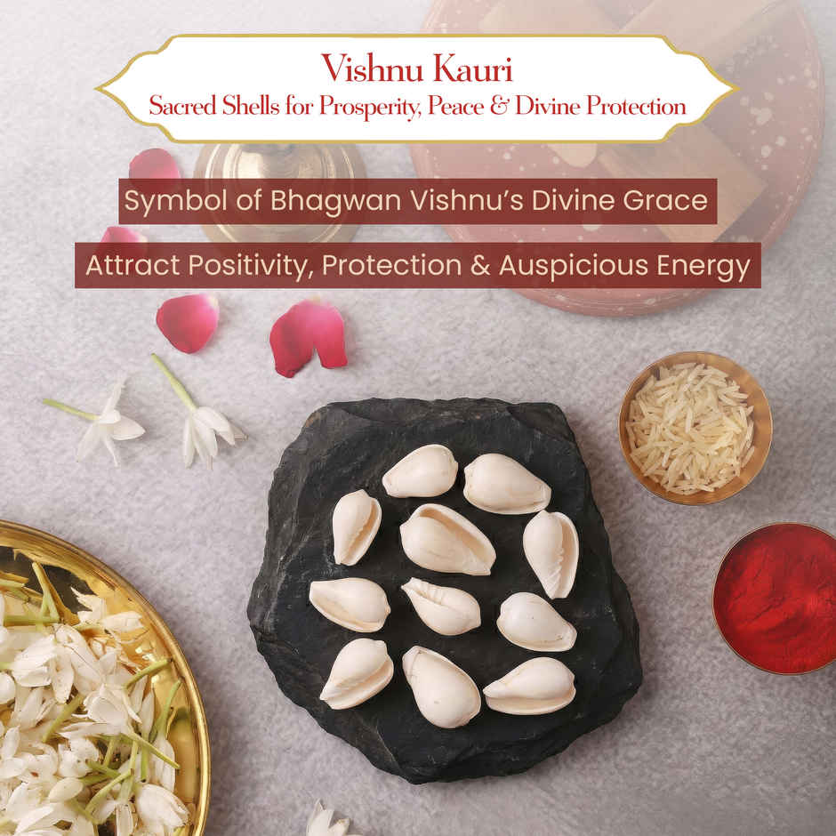 Vishnu Kauri | Symbol of Bhagwan Vishnu | Brings Spiritual Growth and Peace | Pujashree