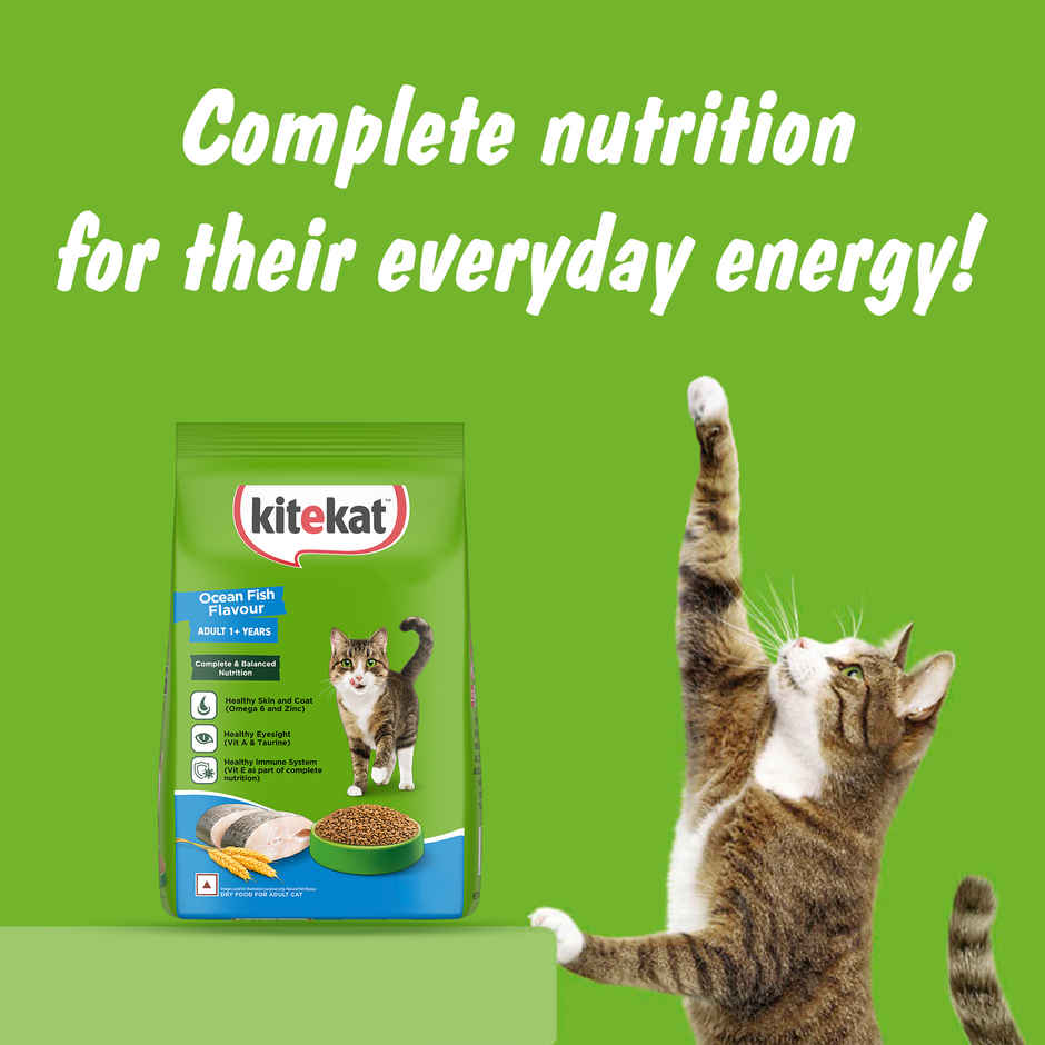 Kitekat Adult Dry Cat Food | Ocean Fish Flavour | 1+ Years