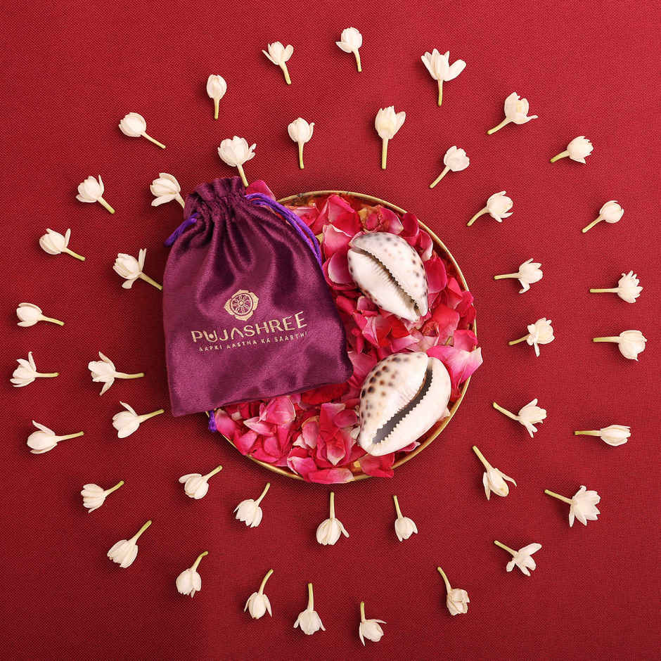 Lakshmi Kauri (Cowrie Shell) | Symbol of Maa Lakshmi | Pujashree