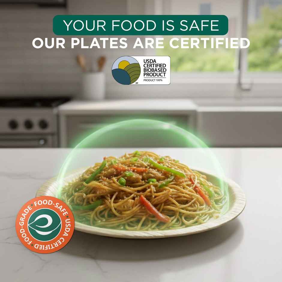 ECO SOUL | Palm Leaf Disposable Plates | 10 Inch | Round | 10 Count