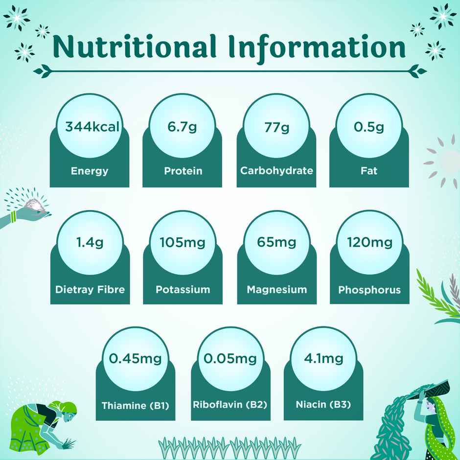 India Gate Dubar Basmati Rice | Long Slender Grains