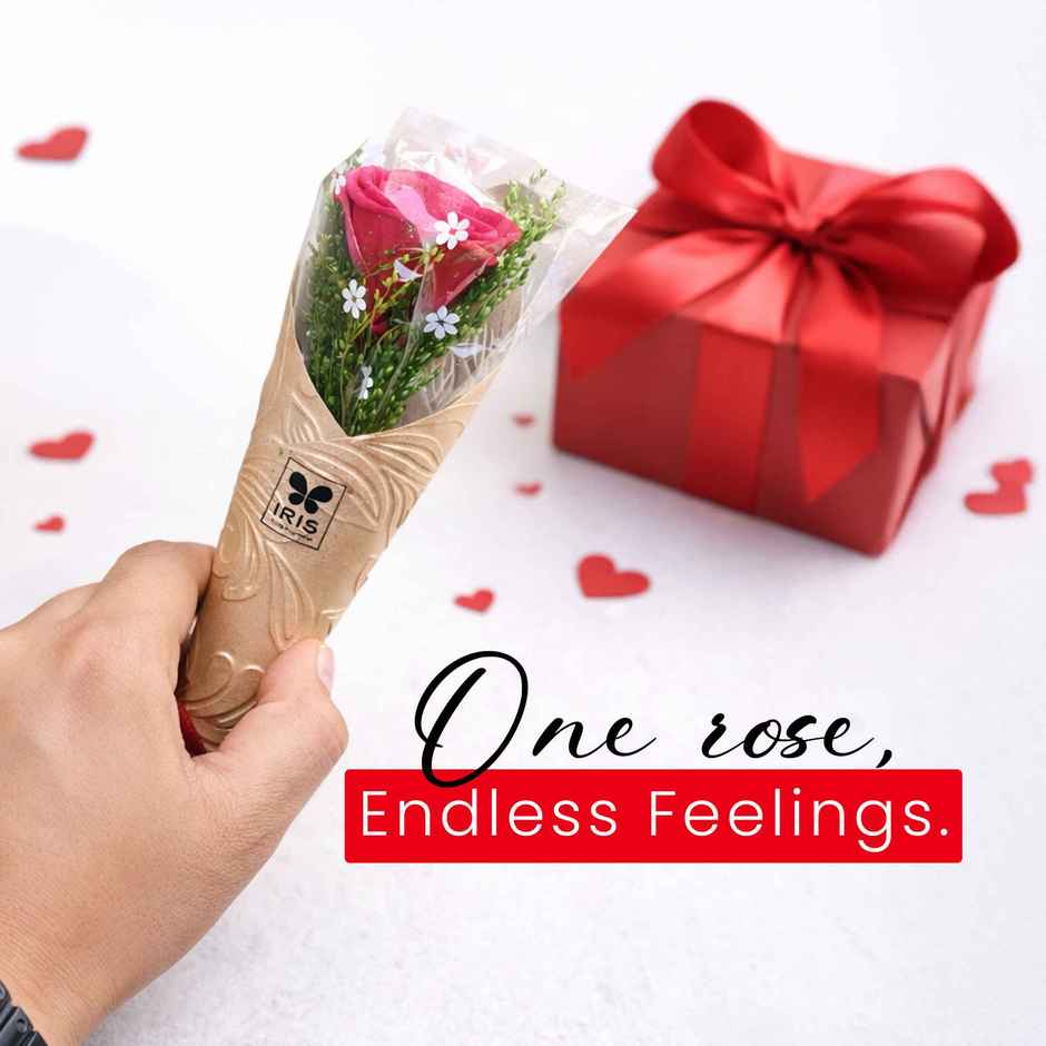 Everlasting Scented Rose Flower | Romance Fragrance | IRIS
