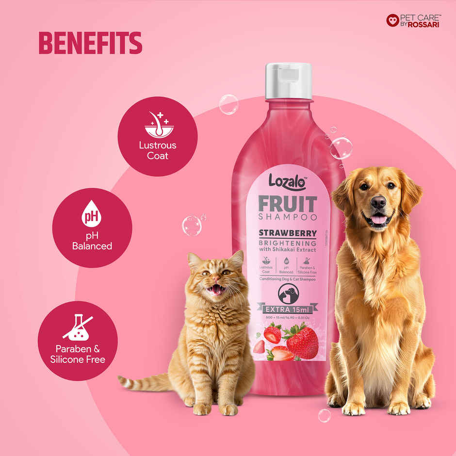 Lozalo Fruit Pet Shampoo Strawberry pH Balanced Paraben Free for Dogs and Cats