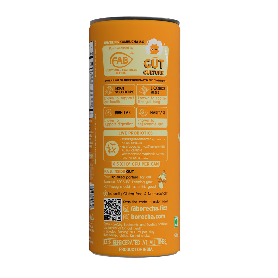 Borecha Orange Probiotic Kombucha