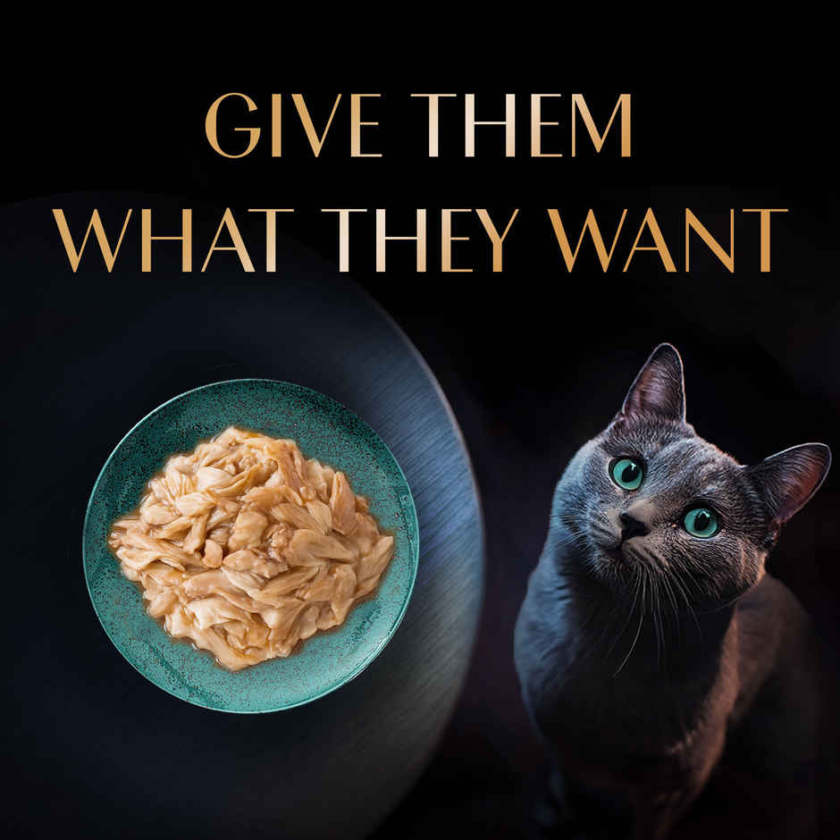 Sheba Rich Adult Fish with Sasami Flavour Wet Cat Food