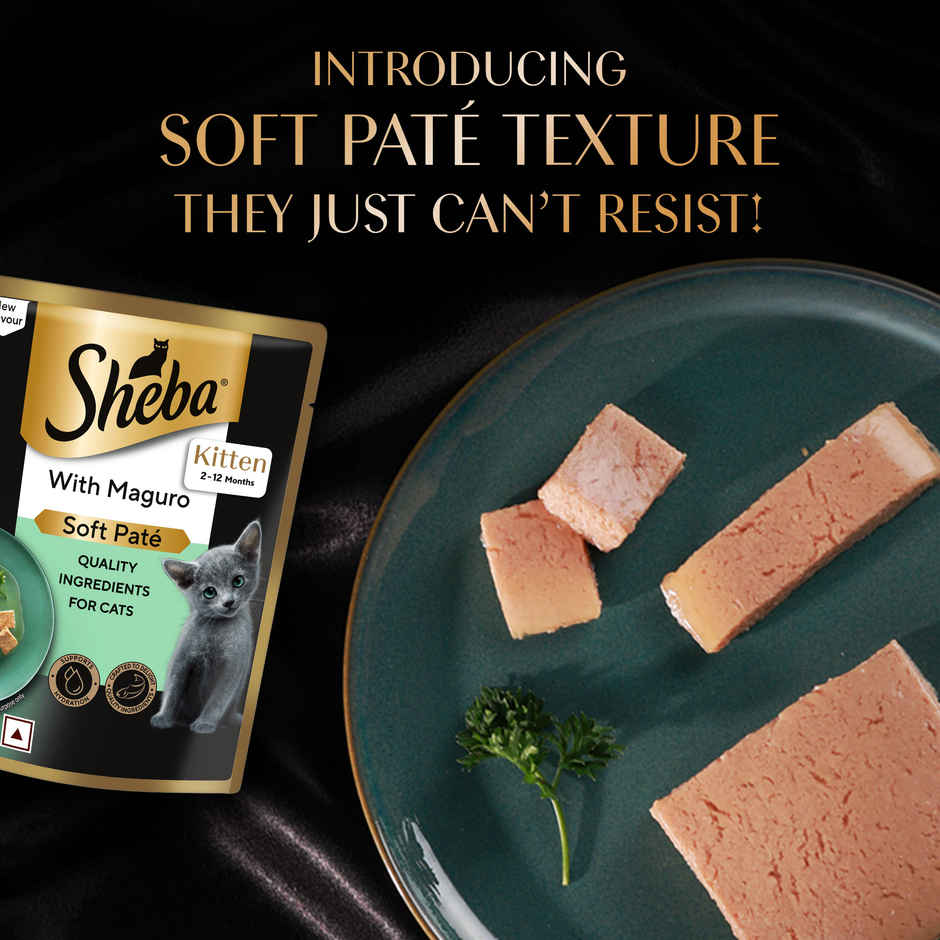Sheba Pate Kitten Wet Cat Food | Maguro