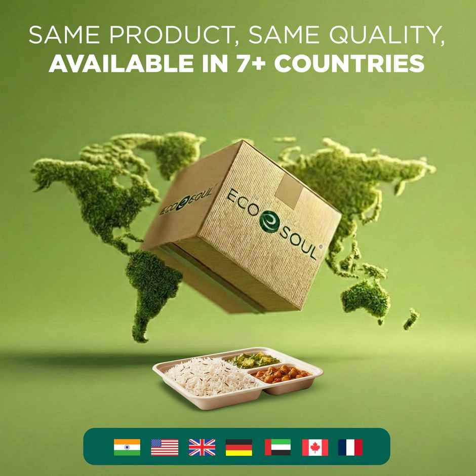 ECO SOUL | Bagasse Disposable Meal Tray/Plates | Square | 5CP | 10 Count