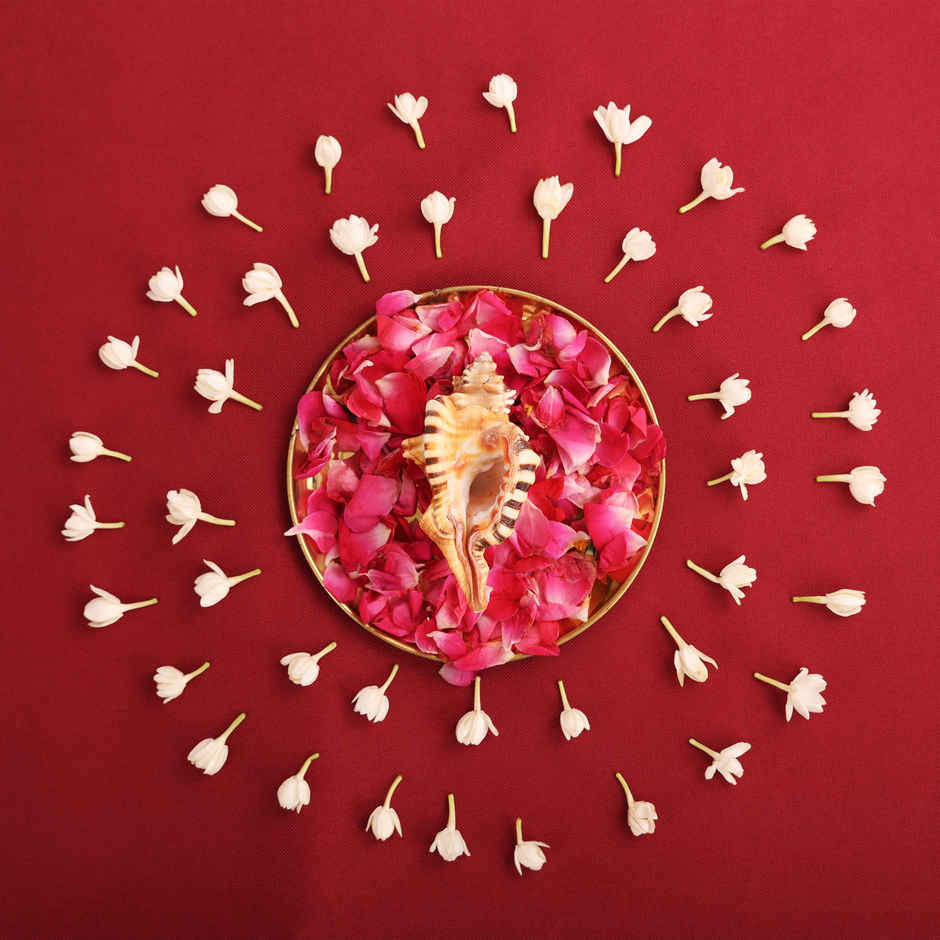 Ganesh Shankh | Blessings of Deity Ganpati | Naturally Formed | Pujashree