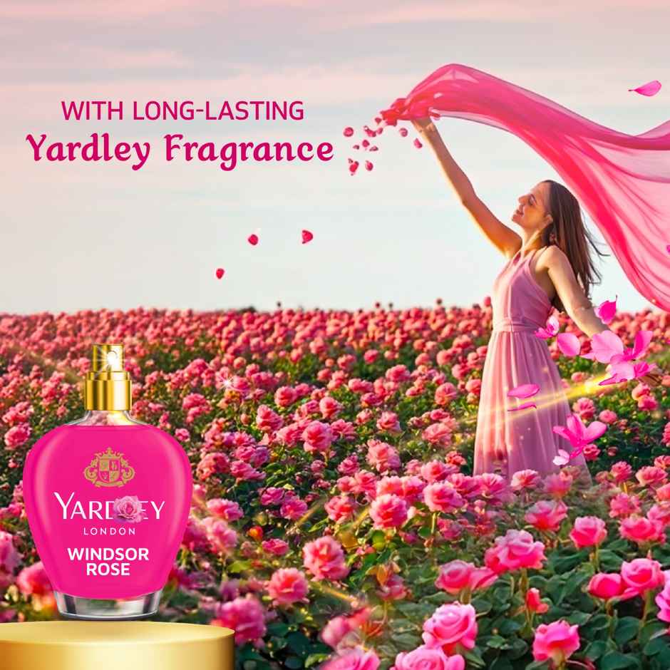 Softouch Yardley Fabric Conditioner | Long Lasting Fragrance for Clothes | Windsor Rose | 790 + 190 ml