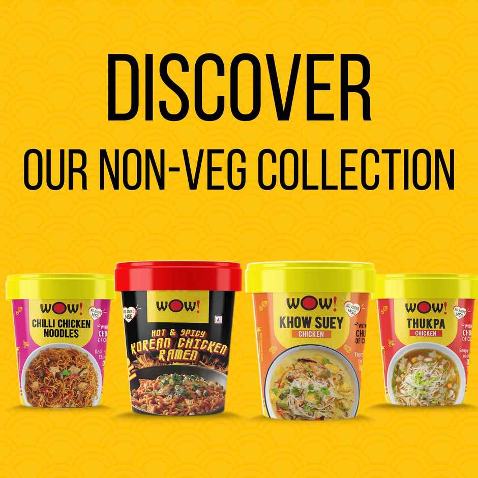 WOW! VEG Manchurian Noodles