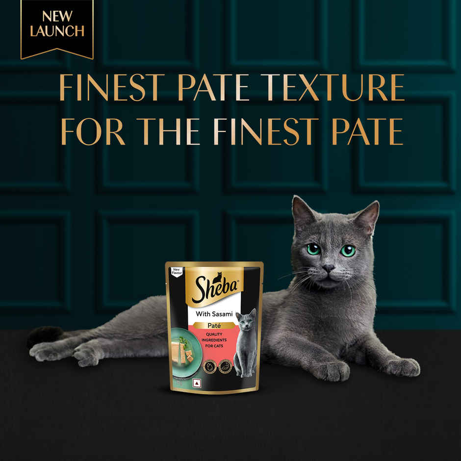 Sheba Pate Adult Wet Cat Food | Sasami