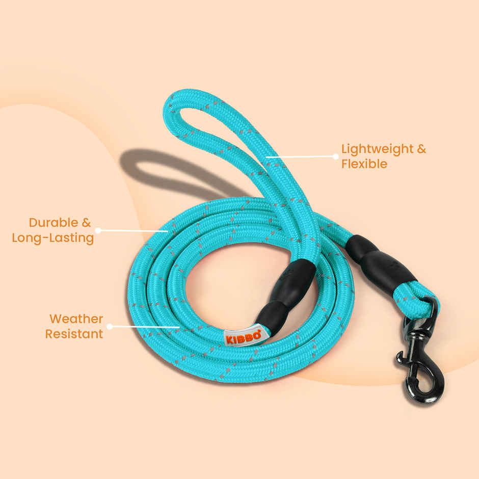 KIBBO Premium Ultra Strong Reflective Dog Rope Leash | Sea Green