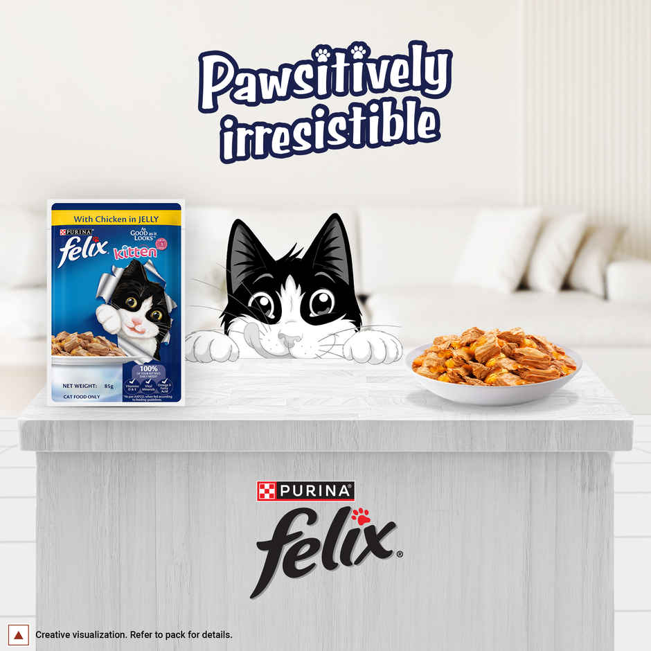 Felix Chicken Jelly Wet Cat Food Kitten | Complete & Balanced