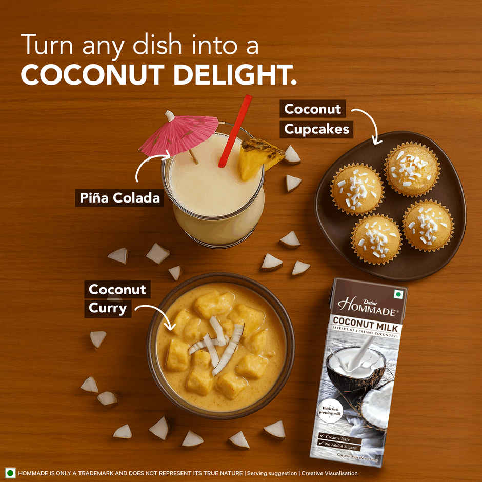 Dabur Hommade Organic Coconut Milk