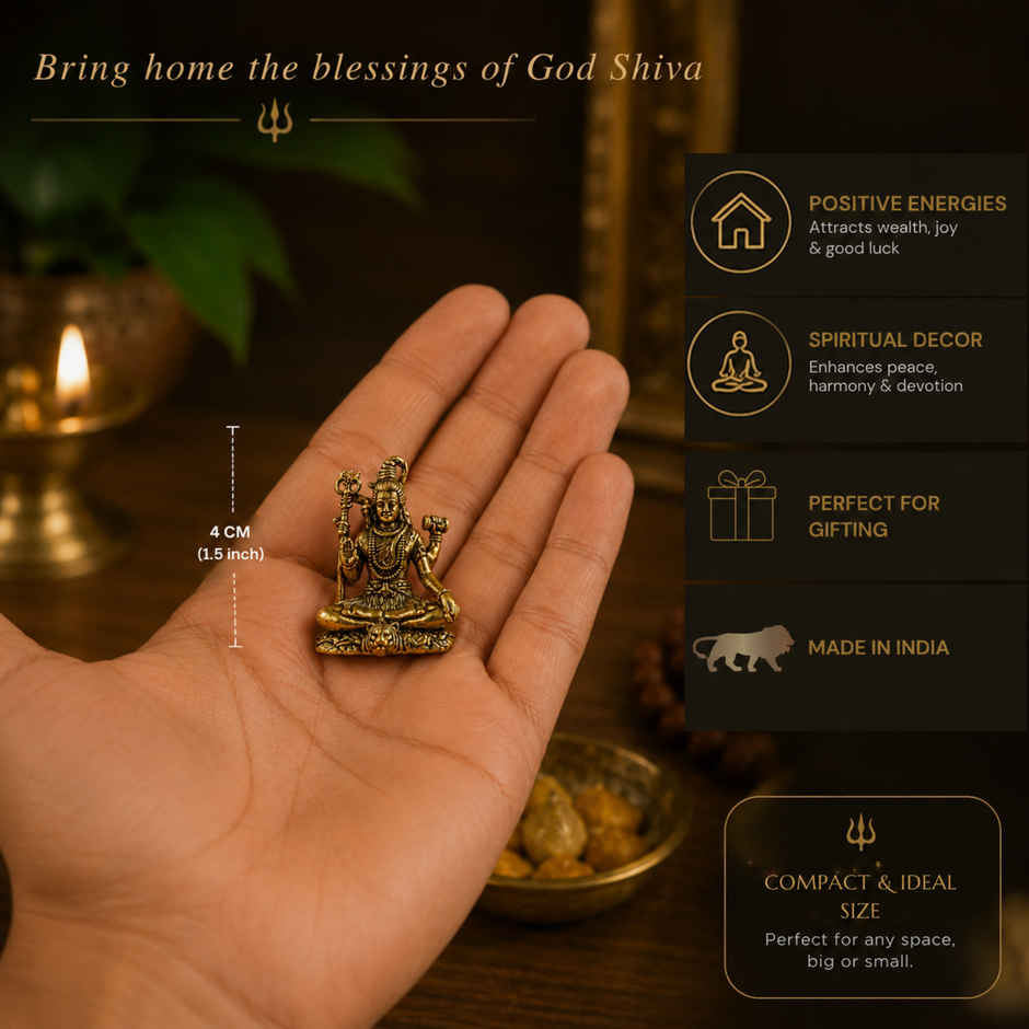 Pure Brass Shivji Idol | Estoria Collective