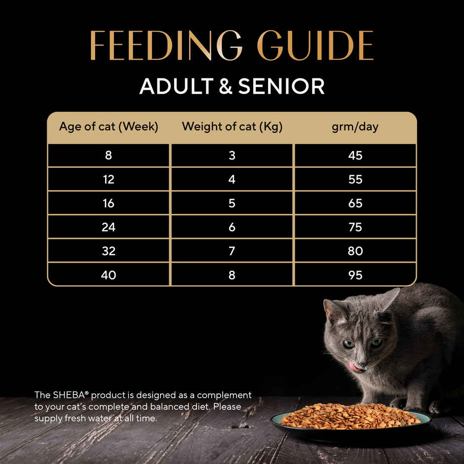 Sheba Kitten and Adult Salmon Flavour Dry Cat Food