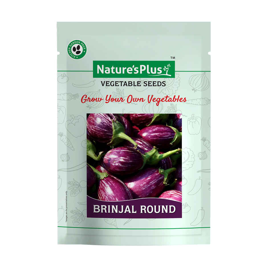 Natures Plus Brinjal Round - Seeds