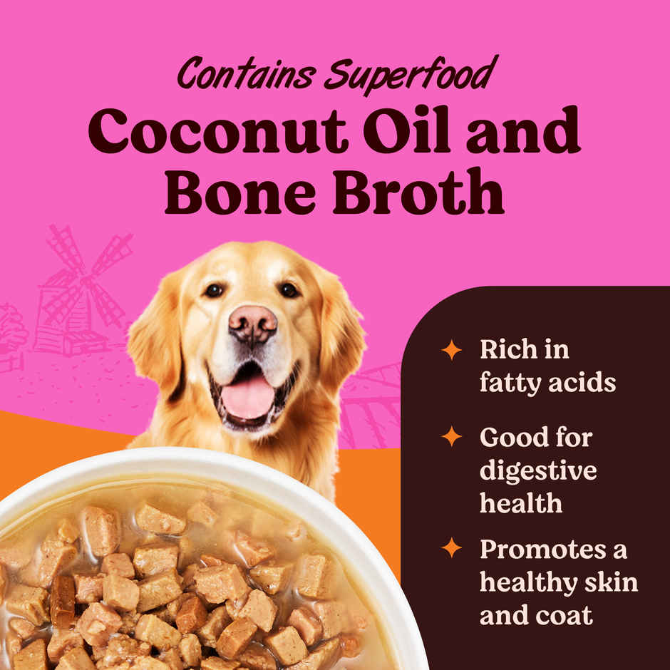 Kennel Kitchen Lamb Chunks in Gravy | Wet Dog Food