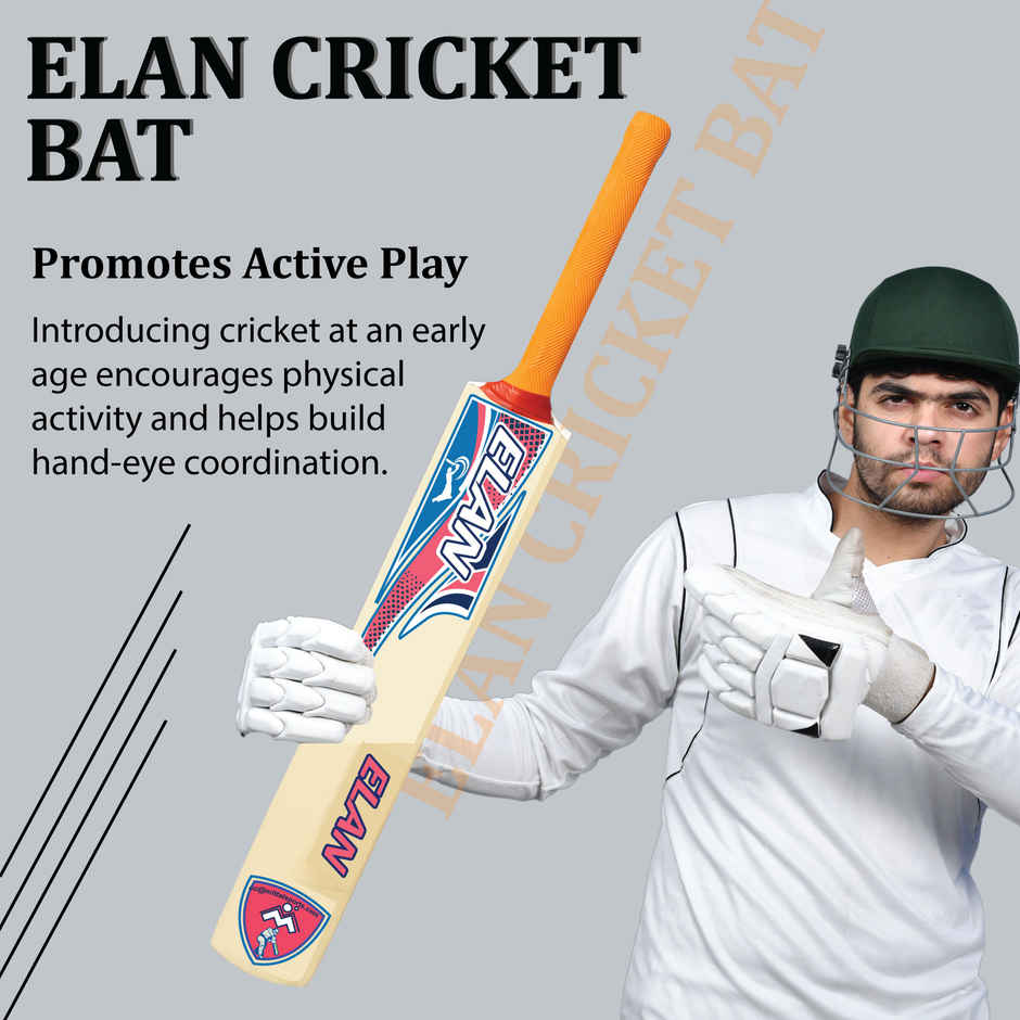 BATZ Elan Wooden Cricket Bat