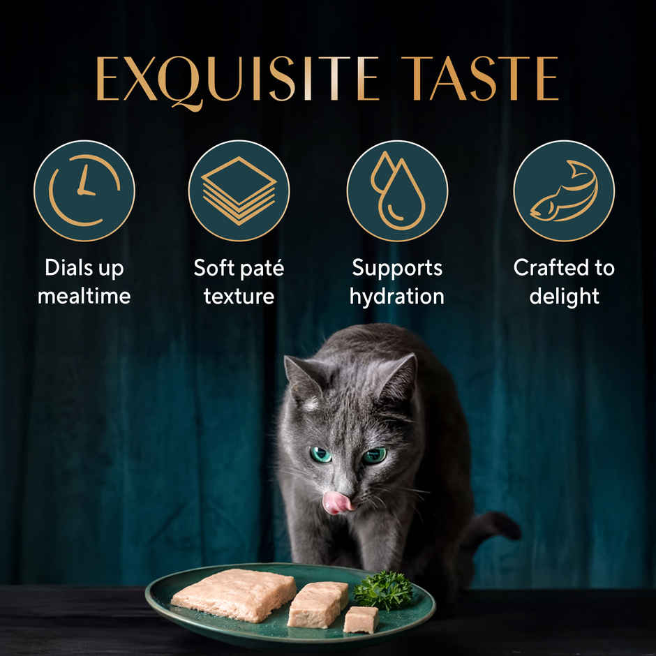 Sheba Pate Adult Wet Cat Food | Katsuo